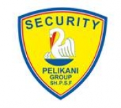 PELIKANI SECURITY SH.R.S.F